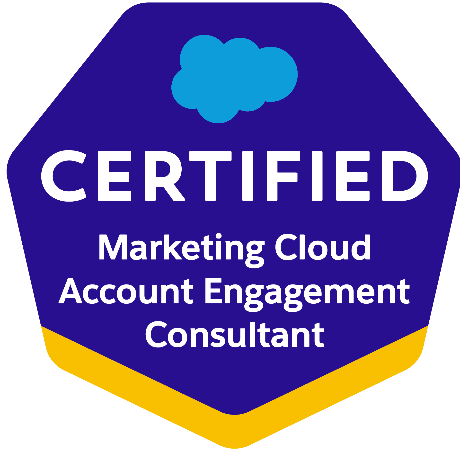 Salesforce MCAE Consultant